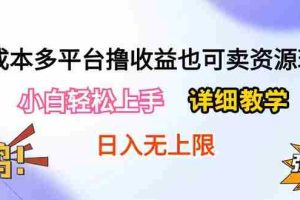 (10293期)0成本多平台撸收益也可卖资源玩法,小白轻松上手。详细教学日入500+附资源