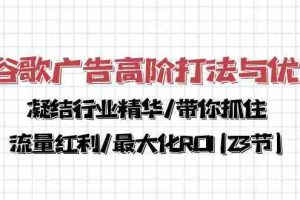 (10287期)谷歌广告高阶打法与优化,凝结行业精华/带你抓住流量红利/最大化ROI(23节)