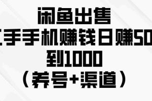 (10269期)闲鱼出售二手手机赚钱,日赚500到1000(养号+渠道)