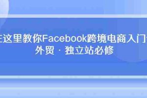 (10259期)在这里教你Facebook跨境电商入门课,外贸·独立站必修