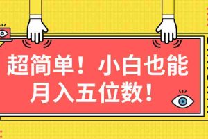 (10257期)超简单图文项目!小白也能月入五位数