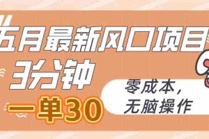 (10256期)五月最新风口项目,3分钟一单30,零成本,无脑操作