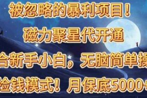 (10245期)被忽略的暴利项目!磁力聚星代开通捡钱模式,轻松月入五六千