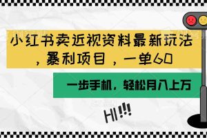 (10235期)小红书卖近视资料最新玩法,一单60月入过万,一部手机可操作(附资料)