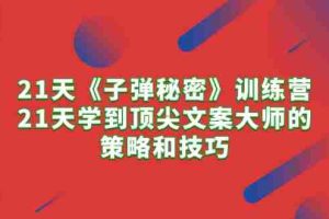 (10209期)21天《子弹秘密》训练营,21天学到顶尖文案大师的策略和技巧
