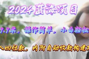 (10204期)年轻群体的蓝海市场,1单9.9元,操作简单,小白轻松上手,日入四位数
