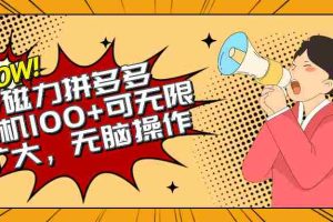 (10199期)2024最新玩法,磁力单机100+,无脑操作,可无限扩大。别再错失机会了!!!