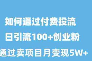 (10189期)如何通过付费投流日引流100+创业粉月变现5W+