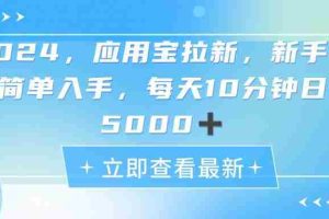 2024应用宝拉新，真正的蓝海项目，每天动动手指，日入5000+