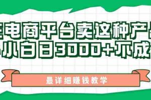 最新在电商平台发布这种产品，新手小白日入3000+不成问题，最详细赚钱教学