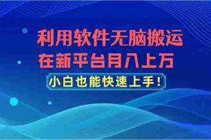 利用软件无脑搬运，在新平台月入上万，小白也能快速上手