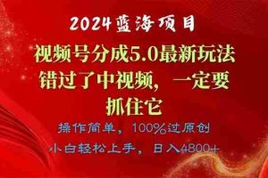 2024蓝海项目，视频号分成计划5.0最新玩法，错过了中视频，一定要抓住…