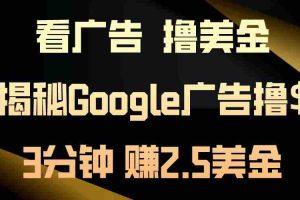 看广告，撸美金！3分钟赚2.5美金！日入200美金不是梦！揭秘Google广告…