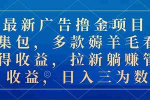 最新广告撸金项目合集包，多款薅羊毛看广告收益 拉新管道收益，日入三为数