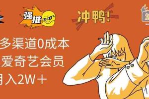 2024多渠道0成本售卖爱奇艺会员月入2W＋