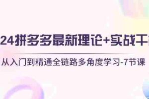 2024拼多多 最新理论+实战干货，从入门到精通全链路多角度学习-7节课