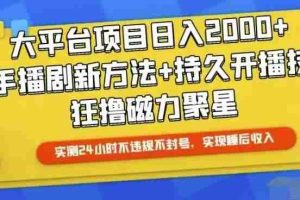 快手24小时无人直播，真正实现睡后收益