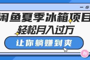闲鱼夏季冰箱项目，轻松月入过万，让你躺赚到爽