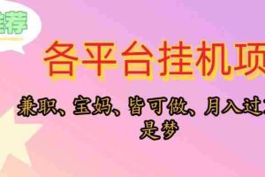 靠挂机，在家躺平轻松月入过万，适合宝爸宝妈学生党，也欢迎工作室对接