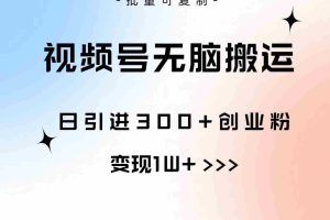 视频号无脑搬运日引300+创业粉，变现1W+可批量复制