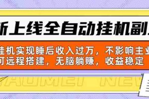 新上线全自动挂机副业：靠挂机实现睡后收入过万，不影响主业可远程搭建…