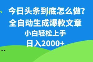 今日头条最新最强连怼操作，10分钟50条，真正解放双手，月入1w+