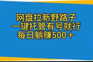 网盘拉新野路子，一键托管有号就行，全自动代发视频，每日躺赚500＋