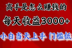 高手是怎么赚钱的,一天收益3000+ 这是穷人逆风翻盘的一个项目,非常稳…
