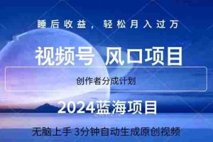 2024蓝海项目，3分钟自动生成视频，月入过万