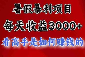 暑假暴利项目，每天收益3000+ 努努力能达到5000+，暑假大流量来了