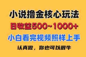 小说撸金核心玩法，日收益500-1000+，小白看完照样上手，0成本有手就行