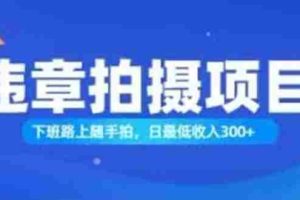 （11698期）随手拍也能赚钱？对的日入300+