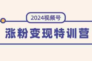 (11779期)2024视频号-涨粉变现特训营:一站式打造稳定视频号涨粉变现模式(10节)