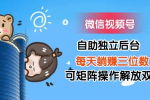 (11910期)微信视频号自助独立后台每天躺赚三位数可矩阵操作解放双手