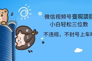 （13115期）2024最新微信视频号变现项目，小白轻松月入四位数