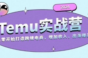 （13266期）2024Temu实战营：从零开始打造跨境电商，增加收入，出海赚美金