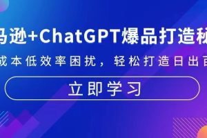 （13274期）亚马逊+ChatGPT爆品打造秘籍：解决高成本低效率困扰 轻松打造日出百单爆款