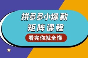 （13699期）拼多多爆款矩阵课程：教你测出店铺爆款，优化销量，提升GMV，打造爆款群