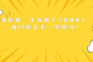 （15821期）靠卖电影票，十天搞了7000+，小白无门槛上手，零投入！