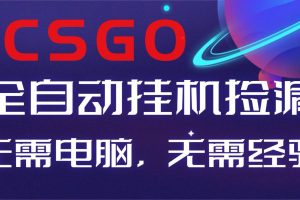 (16619期)【副业好项目】全球火爆游戏CSGO自动捡漏,新手小白日入500+