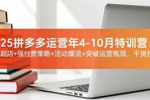 (16642期)2025拼多多运营年4-10月特训营:暴力起店+强付费策略+活动爆流+突破运营瓶颈,干货拉满