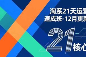 (16903期)淘系21天运营速成班-12月更新,能够快速复制落地,系统掌握淘系盈利运营的核心技能