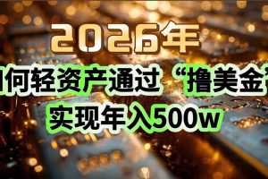 （17033期）2026年如何轻资产通过“撸美金”实现年入500w